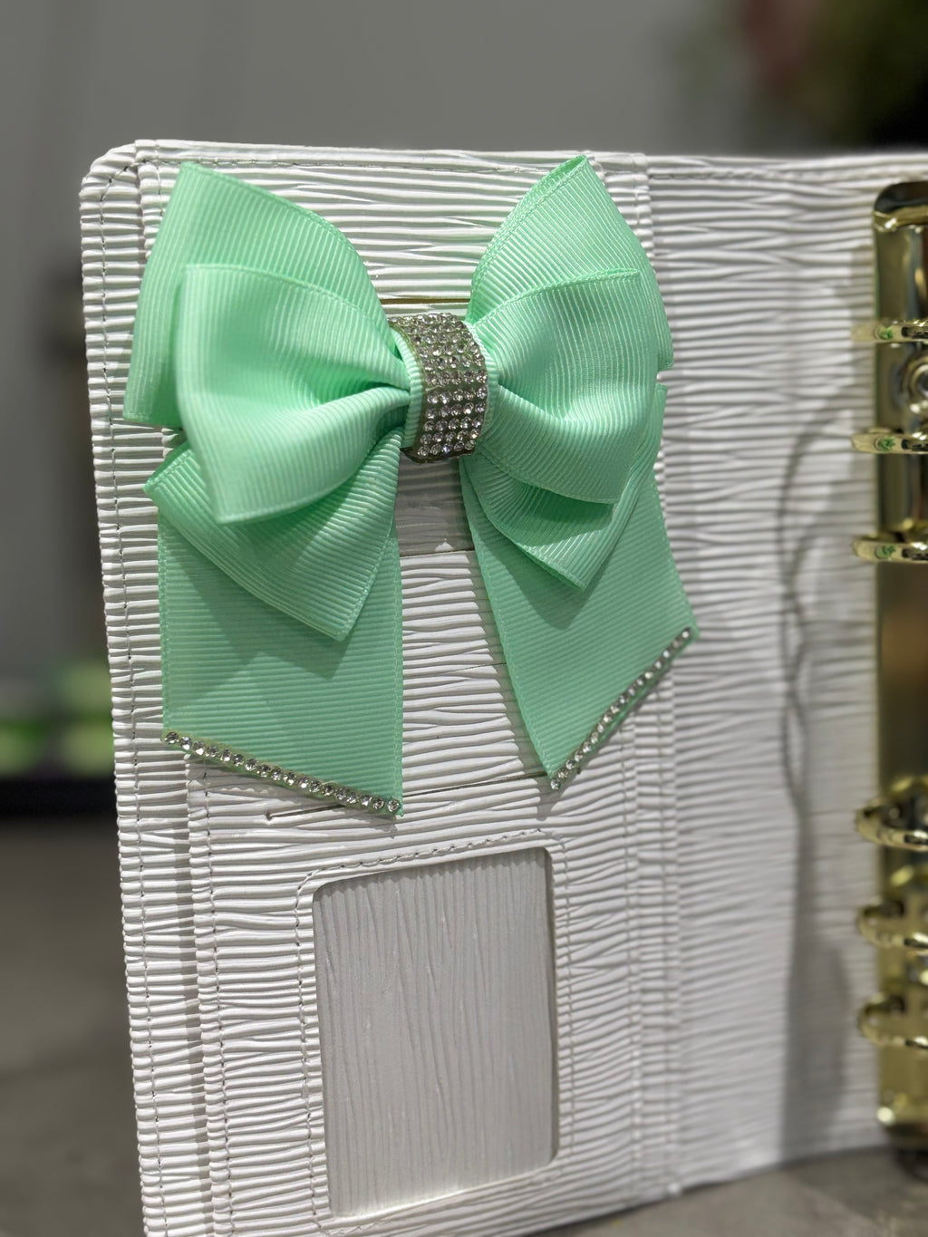 Mint binder bow clip