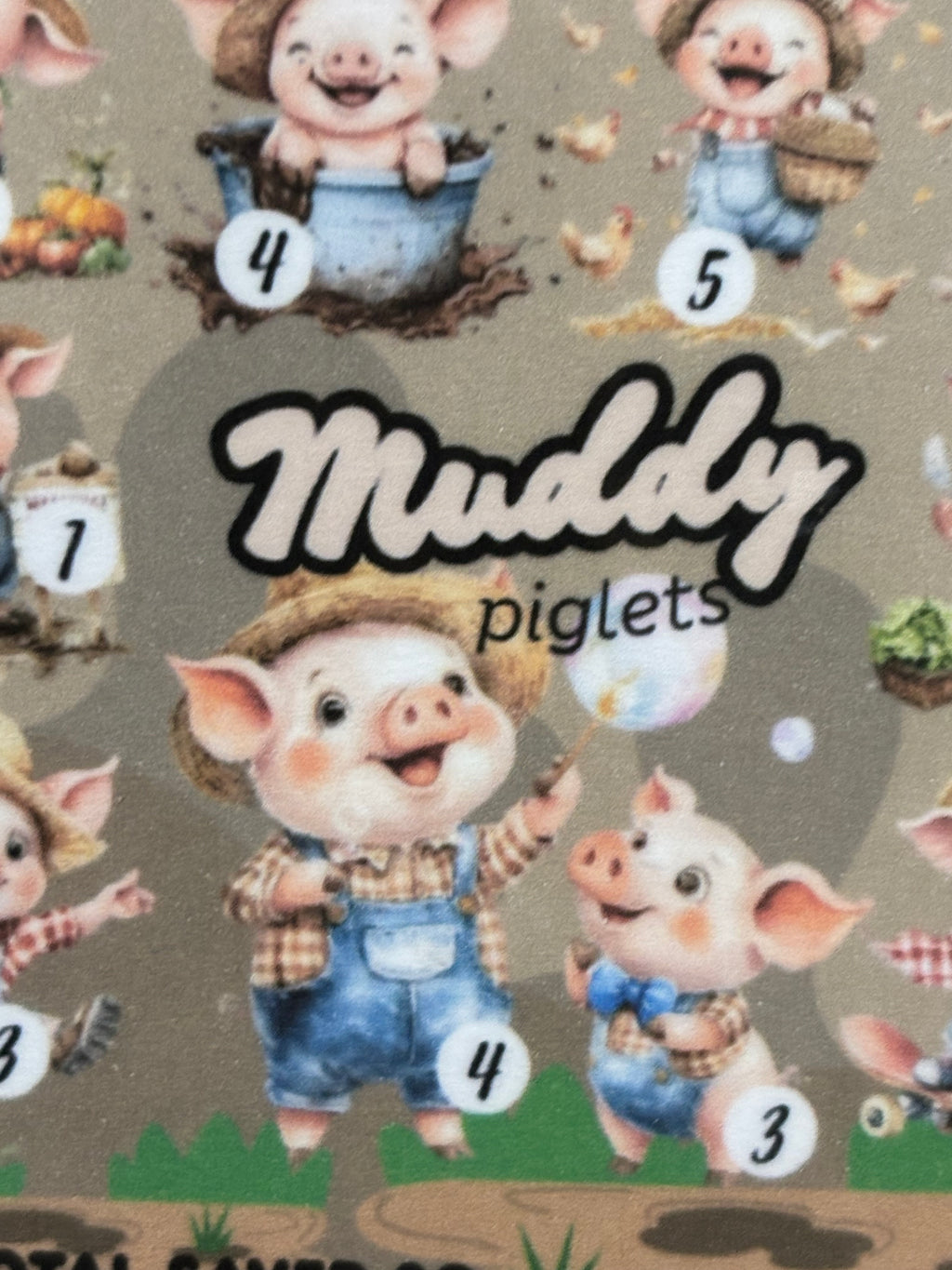 Muddy piglets