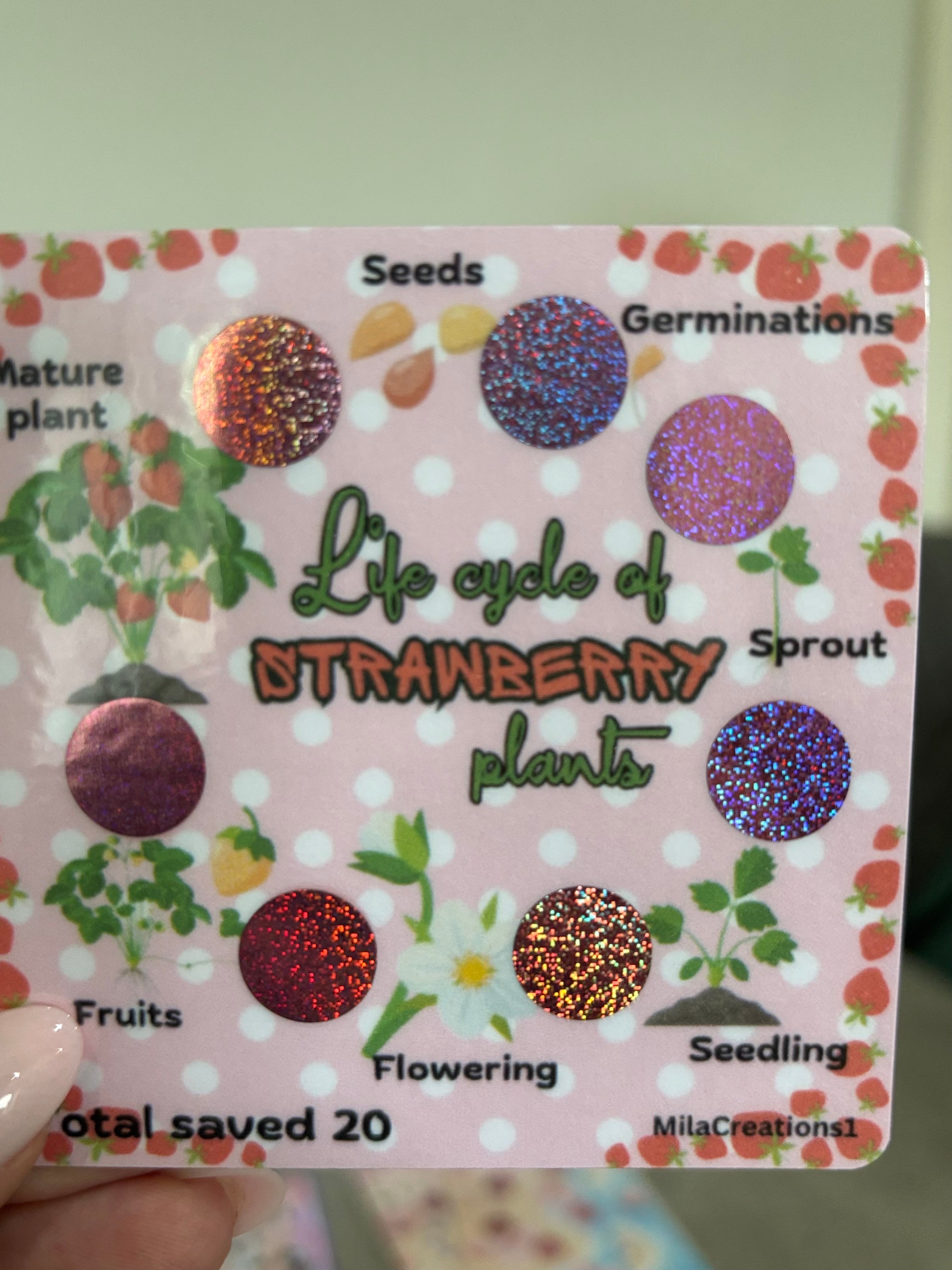 Life cycle of strawberry plant