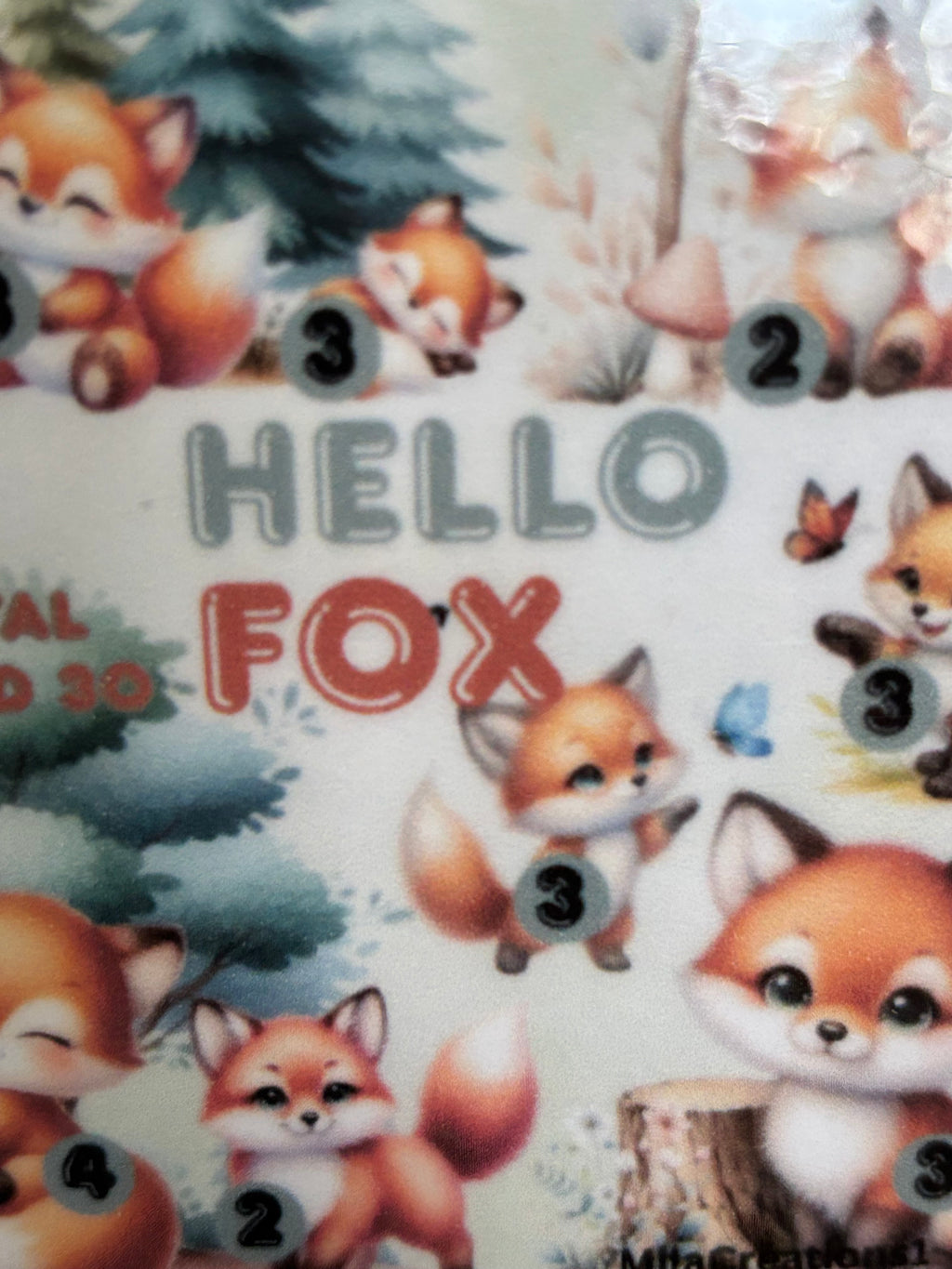 Hello fox