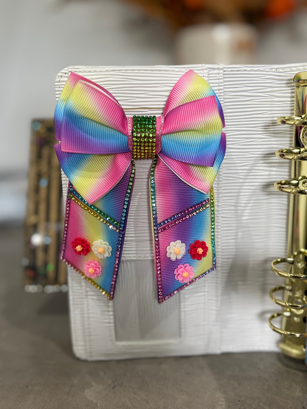 Bright rainbow binder bow clip
